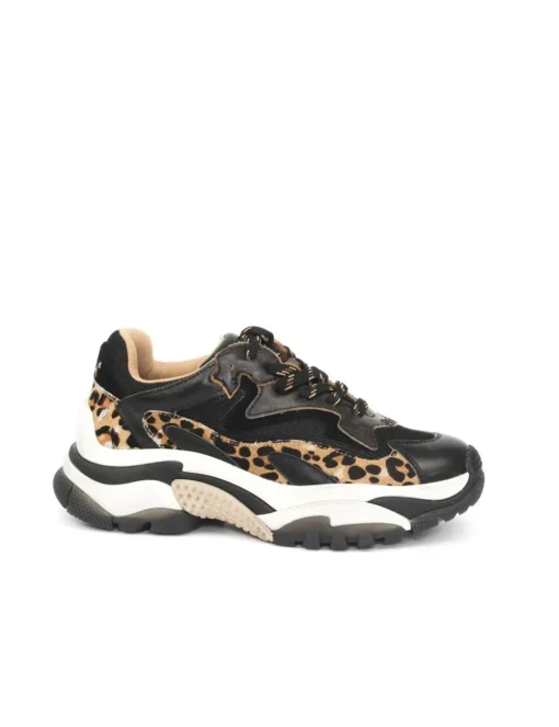 SNEAKER ADDICT