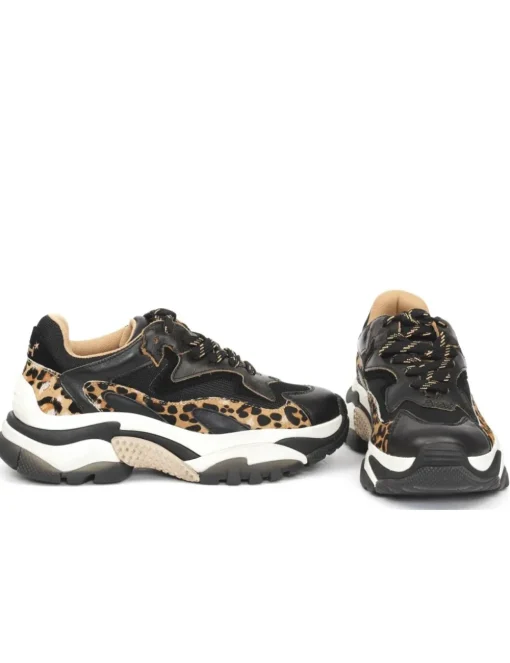 SNEAKER ADDICT